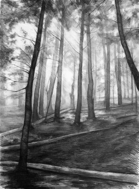 Dark forest ORIGINAL drawing by Katarzyna Kmiecik / pencil | Etsy | Pine tree drawing, Tree ...