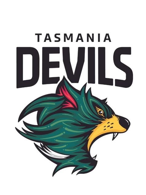 AFL: Tasmania Football Club officially launched | Herald Sun