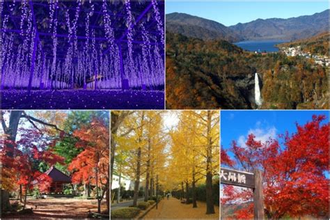 Autumn in Tochigi: 5 must-visit autumns spots from the 5 areas of Tochigi | JR Times