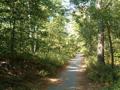 Virginia Trail Free Stock Photo - Public Domain Pictures