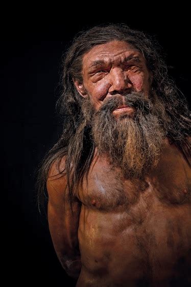 A look inside the world of the Neanderthals