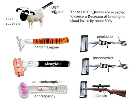 Lamictal (lamotrigine) interactions with UGT inDucers by Jason Cafer MD | How to memorize things ...