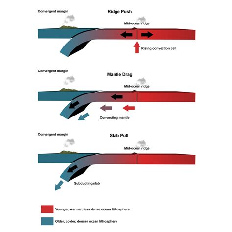 Earthquake Diagram Tectonic Plates