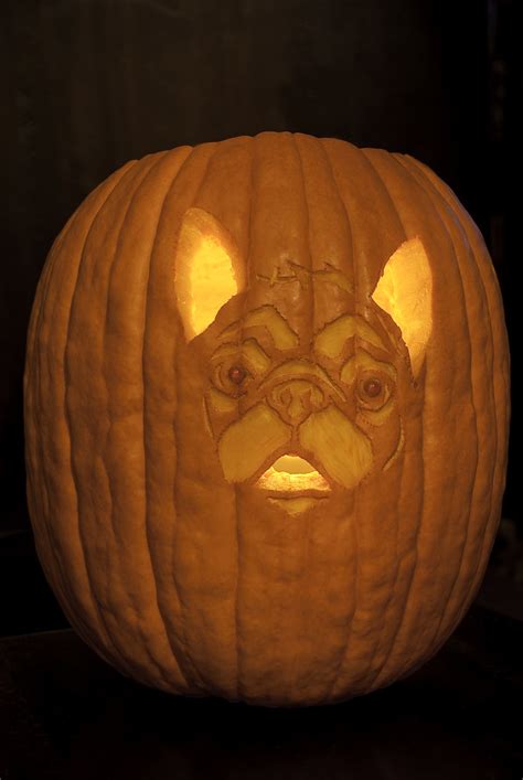 French Bulldog Pumpkin | Every Halloween my girlfriend and I… | Flickr