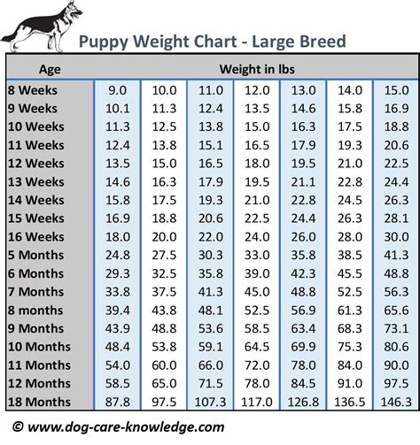 Pitbull Weight Chart | Blog Dandk