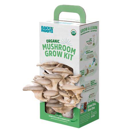 Back to the Roots Organic Oyster Mushroom Grow Kit, Harvest Gourmet ...