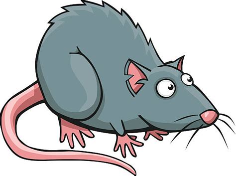 Free Animated Clipart Rats