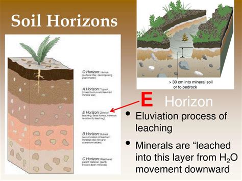 PPT - Chapter 10: Land , Public and Private Chapter 8: Soil PowerPoint ...