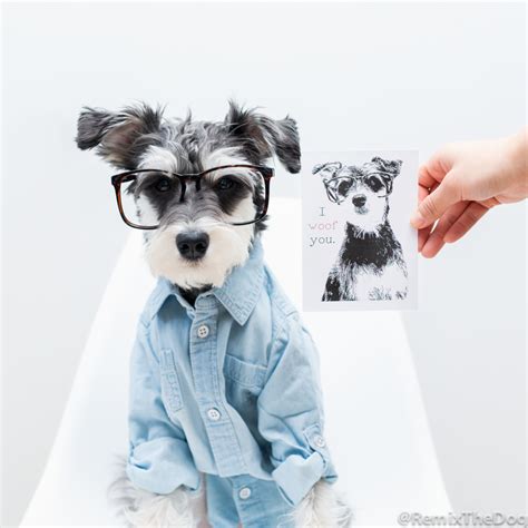 6 Facts About Remix The Dog - RemixTheDog.com