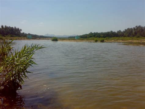 Palar River in Kolar, Karnataka | BangaloreOrbit.com