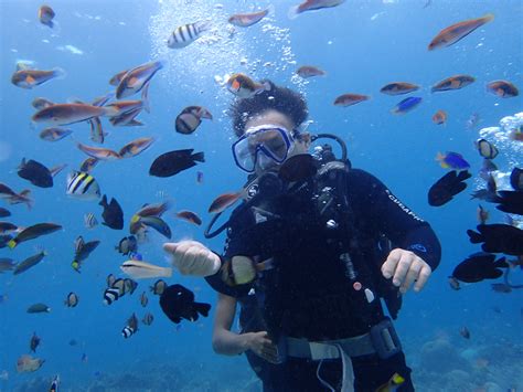 Cebu Diving Cebu Scuba Diving Open Water Certificate - 콤콤이