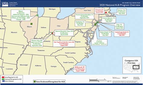 Asian longhorned beetle map - Entomology Today