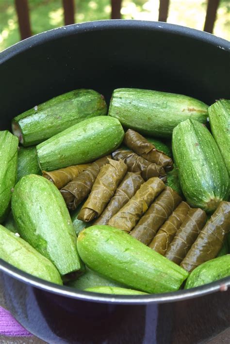 Bint Rhoda's Kitchen: Cousa Mahshi, or Stuffed Baby Summer Squash