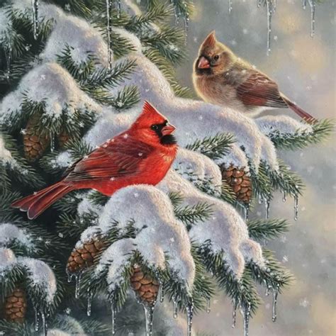 Cardinal Bird In Snow Painting at PaintingValley.com | Explore collection of Cardinal Bird In ...