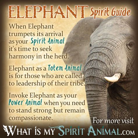 Elephant Symbolism & Meaning | Spirit, Totem, & Power Animal