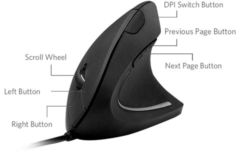 input devices - binding back/forward to mouse buttons - Ask Ubuntu