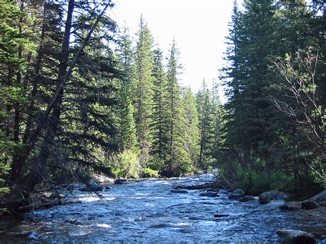 Rock Creek in Montana : Fly Fishing Information, Photos, & Detailed Guide