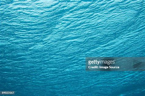 Similan Islands Marine National Park Photos and Premium High Res Pictures - Getty Images