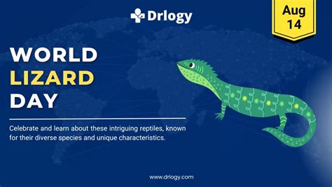 World Lizard Day August 14: History and Importance - Drlogy