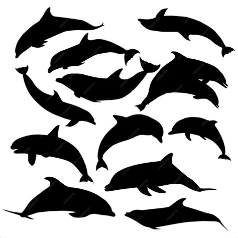 Premium Vector | Dolphin silhouette set vector illustration collection ...