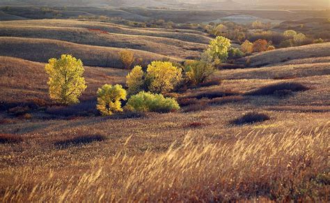 Konza Prairie Landscape