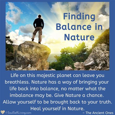 Soul Self Living: Finding Balance in Nature