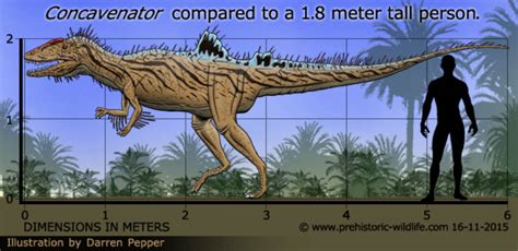 Concavenator size by Frylock921 on DeviantArt