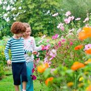 Cambridge University Botanic Garden - Attraction - Computing History