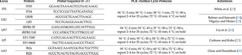 Primers and PCR procedures used in this study. | Download Scientific ...