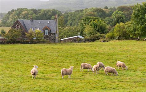 Addlands' Guide to Smallholdings - Arbtech