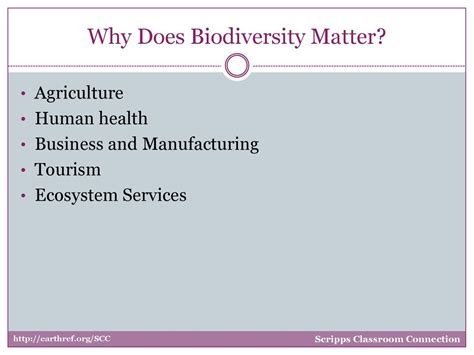 Biodiversity Scripps Classroom Connection - ppt download