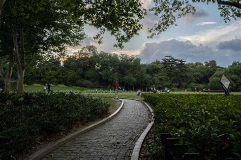 Zhongshan Park - Shanghai Gardens and Parks - OOHMYGUIDE