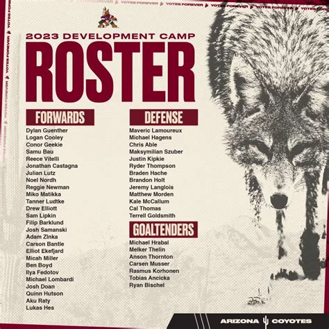 Arizona Coyotes on Twitter: "The build continues in the desert 🌵 Our 2023 Development Camp kicks ...