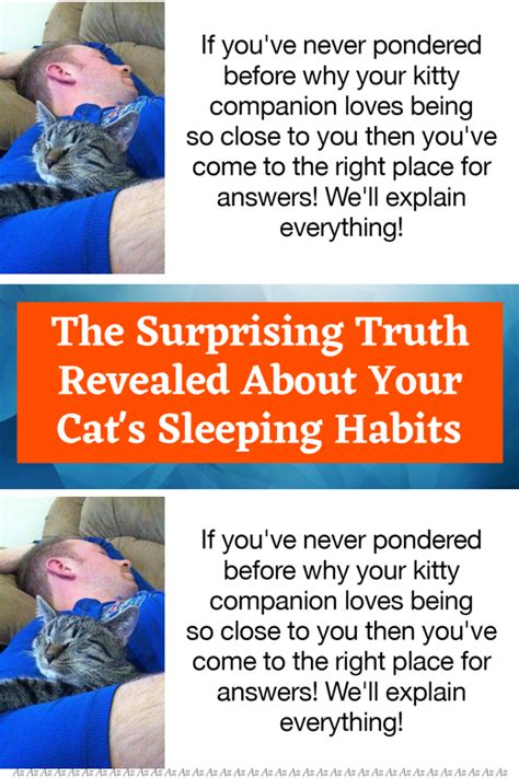 The surprising truth revealed about your cat s sleeping habits – Artofit