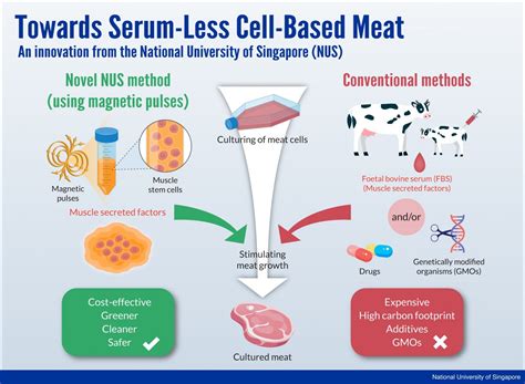 Scientists develop novel technique to grow meat in the lab using magnetic field