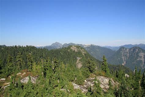 Thunderbird Ridge hike near Grouse Mountain | Vancouver Trails