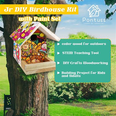 Buy DIY Birdhouse Kit with Paint Set - Kids' Wood Craft Kits - Cedar ...