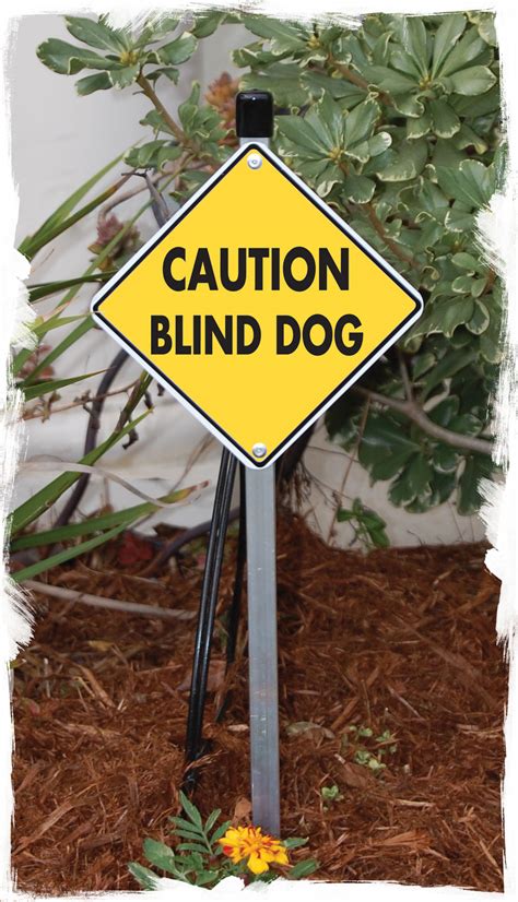 Caution Blind Dog Aluminum Signs and Vinyl Stickers