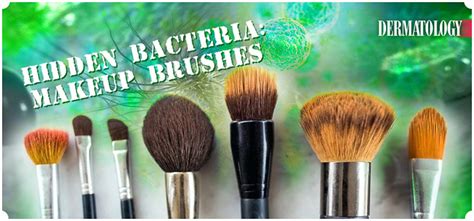 Hidden bacteria that may be lurking in your makeup brushes