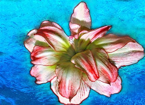 Amaryllis In Blue Water Digital Art by Bob and Nadine Johnston