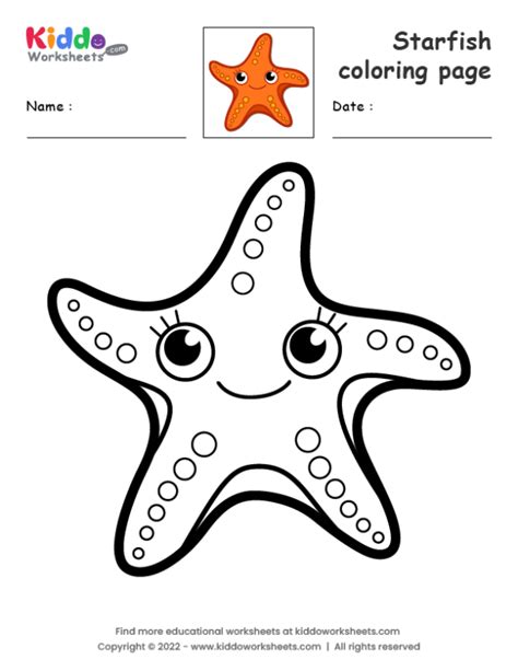 Free Printable Starfish coloring page Worksheet - kiddoworksheets