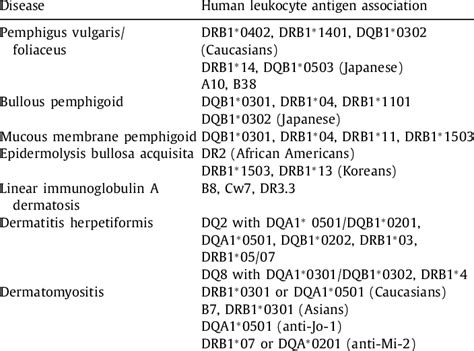 Human leukocyte antigen associations in autoimmune bullous diseases and... | Download Scientific ...