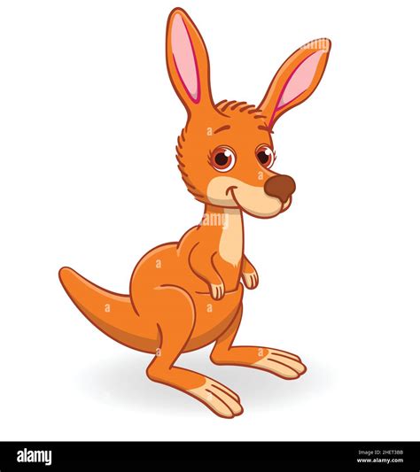 cute kangaroo joey cartoon character vector illustration isolated on ...