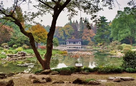 Wallpapers for theme Hangzhou Botanical Garden