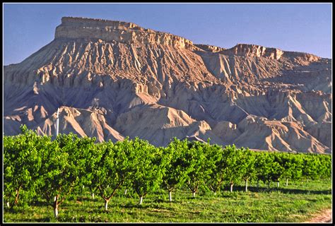 Mount Garfield in Colorado - 1989 | Mount Garfield is part o… | Flickr