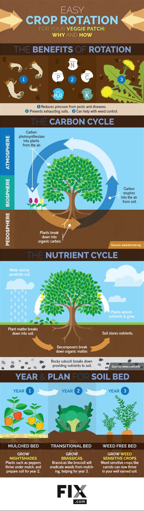 Crop Rotation Examples [With Plant Families] | Family Food Garden