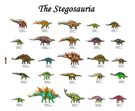 Dinosaur Chart With Names