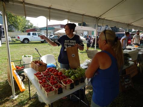 Little Italy Farmers Market - Events - Erie Reader