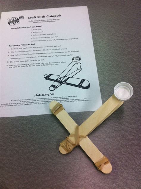 Librarian Out Loud: Catapults in the Library!