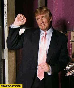 Donald Trump dancing meme gif animation | StareCat.com